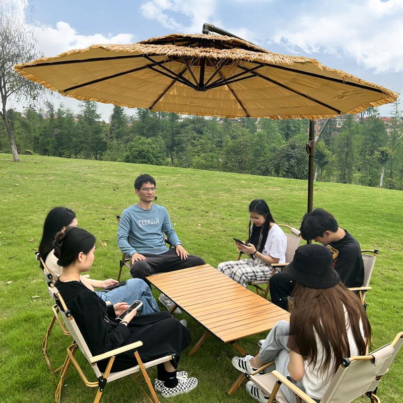 Parasol d'extérieur en paille  - Outdoor Camping Umbrella avis et prix